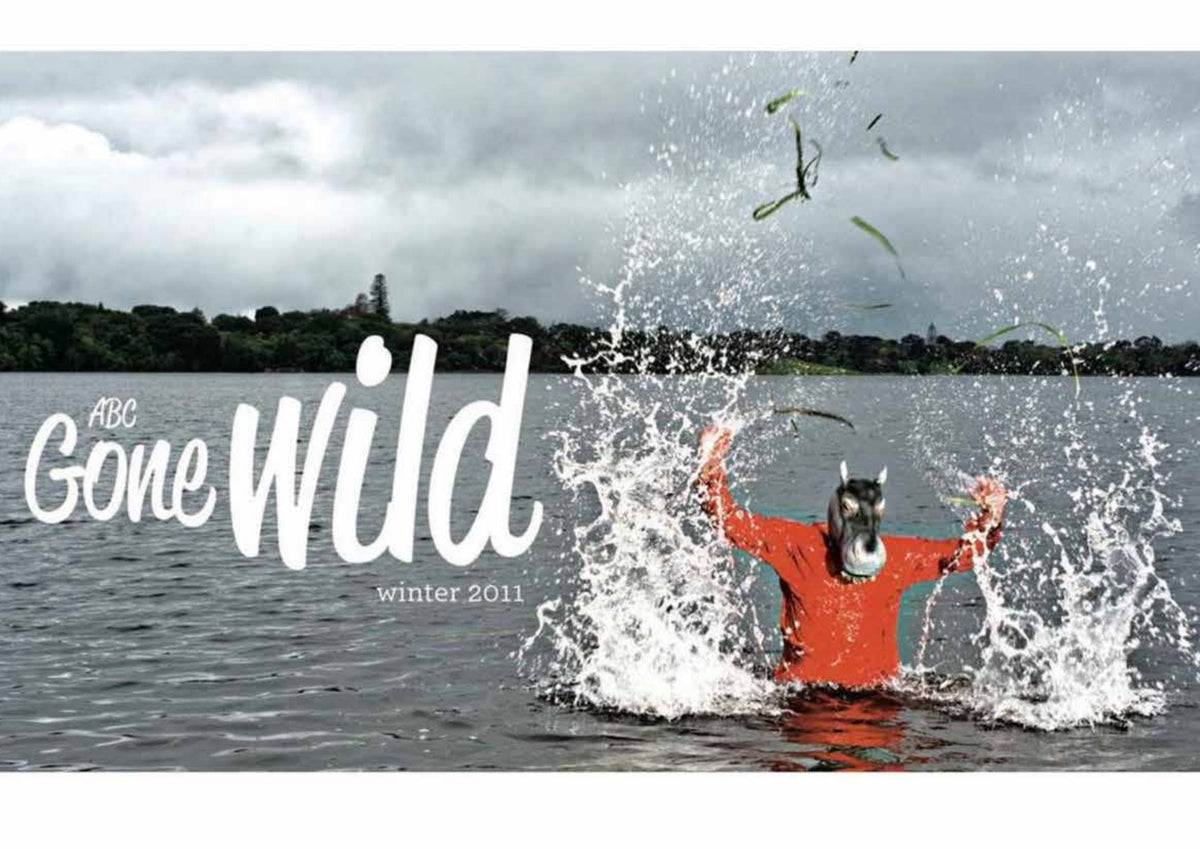 ABC Gone Wild 2012 lookbook cover